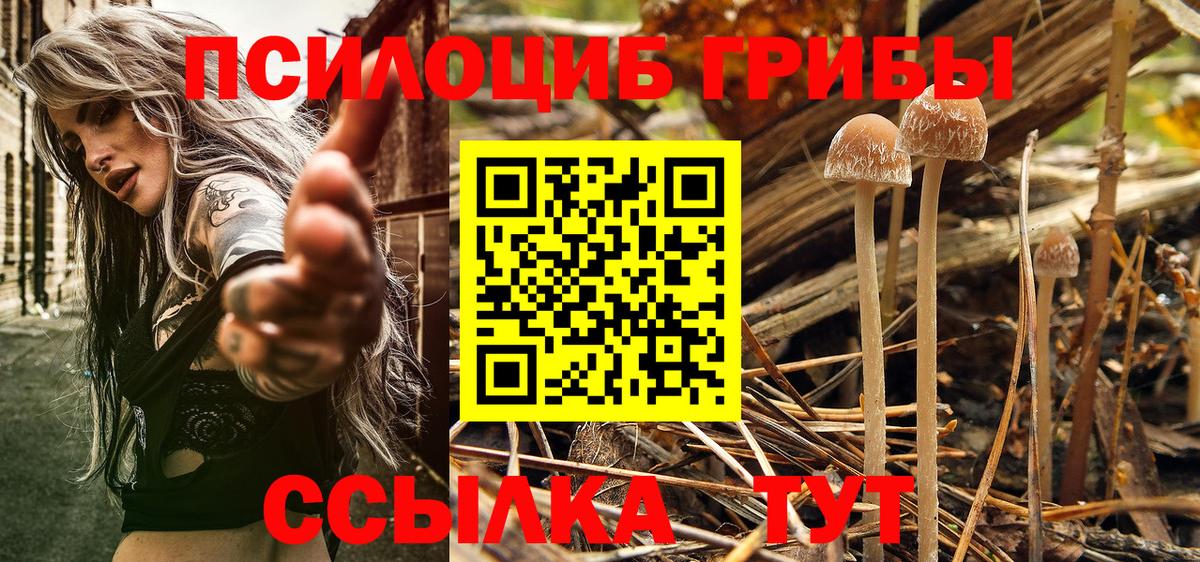 Мелеуз  Галлюциногенные грибы мухоморы  Вход с VPN 